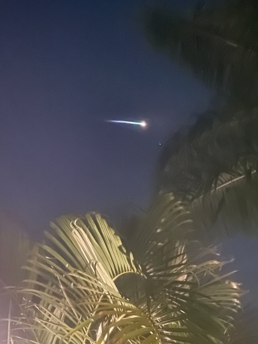 A bright, blurred streak of rocket light crosses a dark night sky above palm fronds lit from below