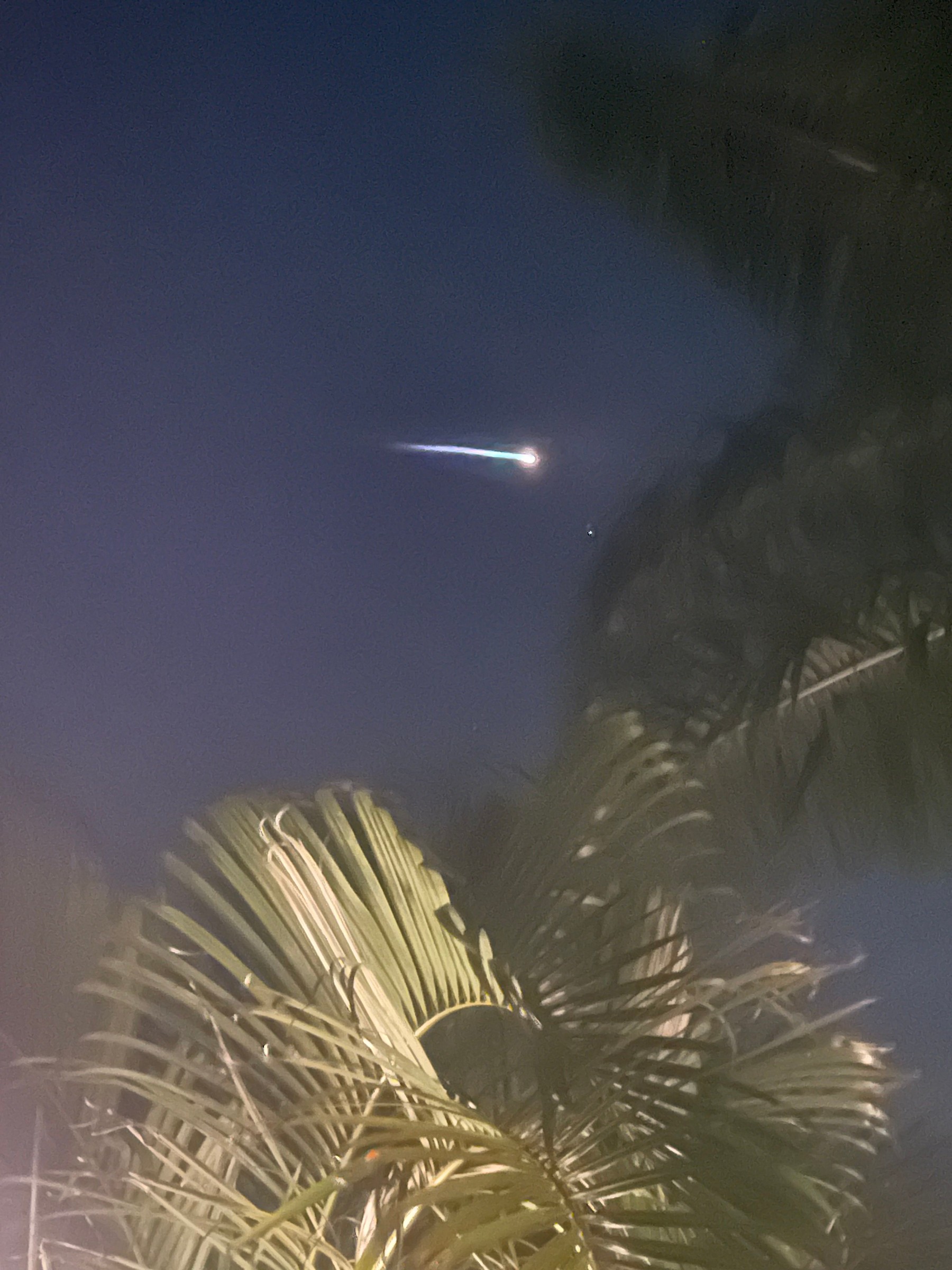 A bright, blurred streak of rocket light crosses a dark night sky above palm fronds lit from below