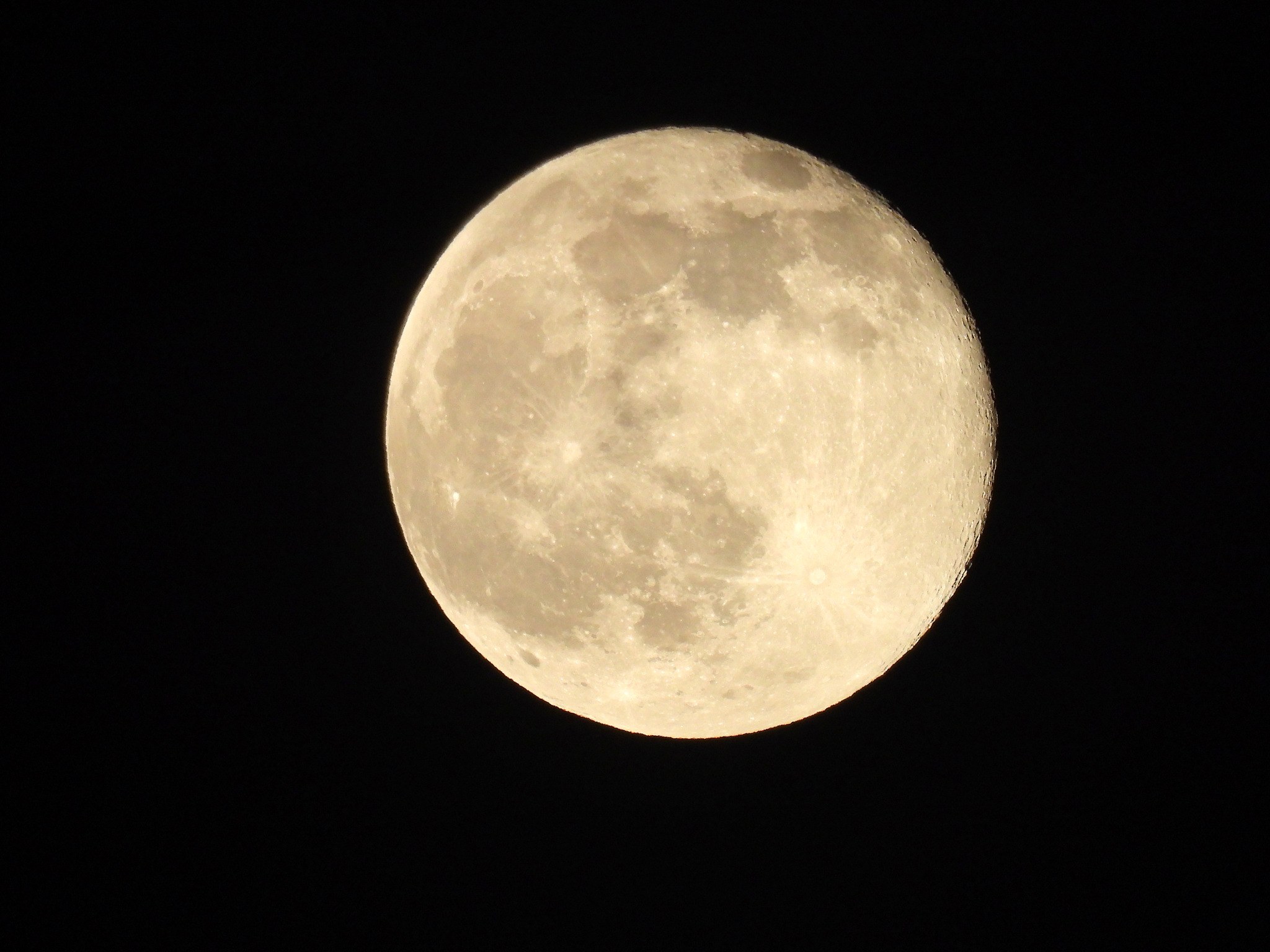 A bright, pale nearly full moon with gray lunar seas, centered against a black sky