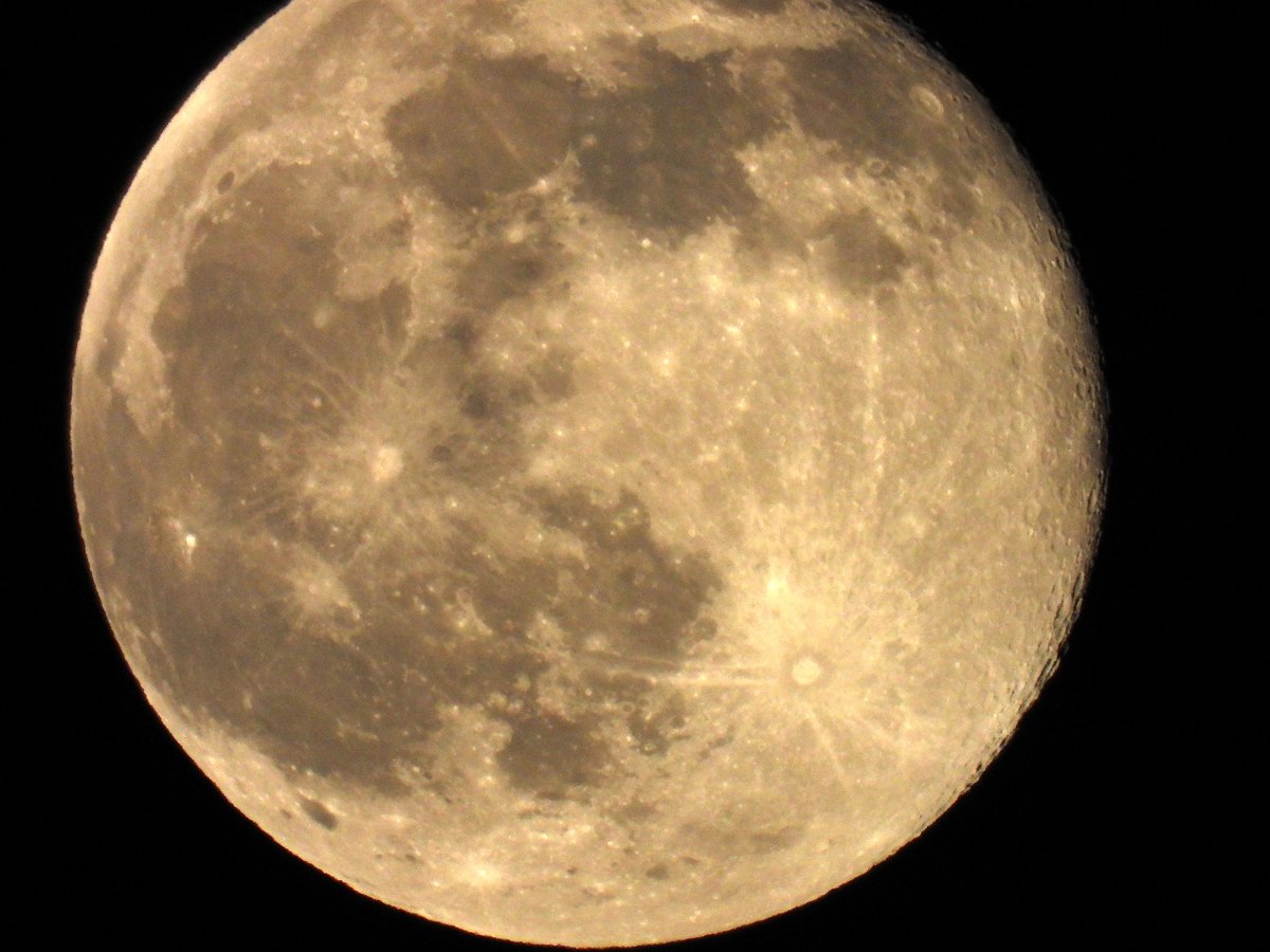 A large, golden nearly full moon fills the frame against a black sky, its dark lunar seas and bright craters sharply detailed