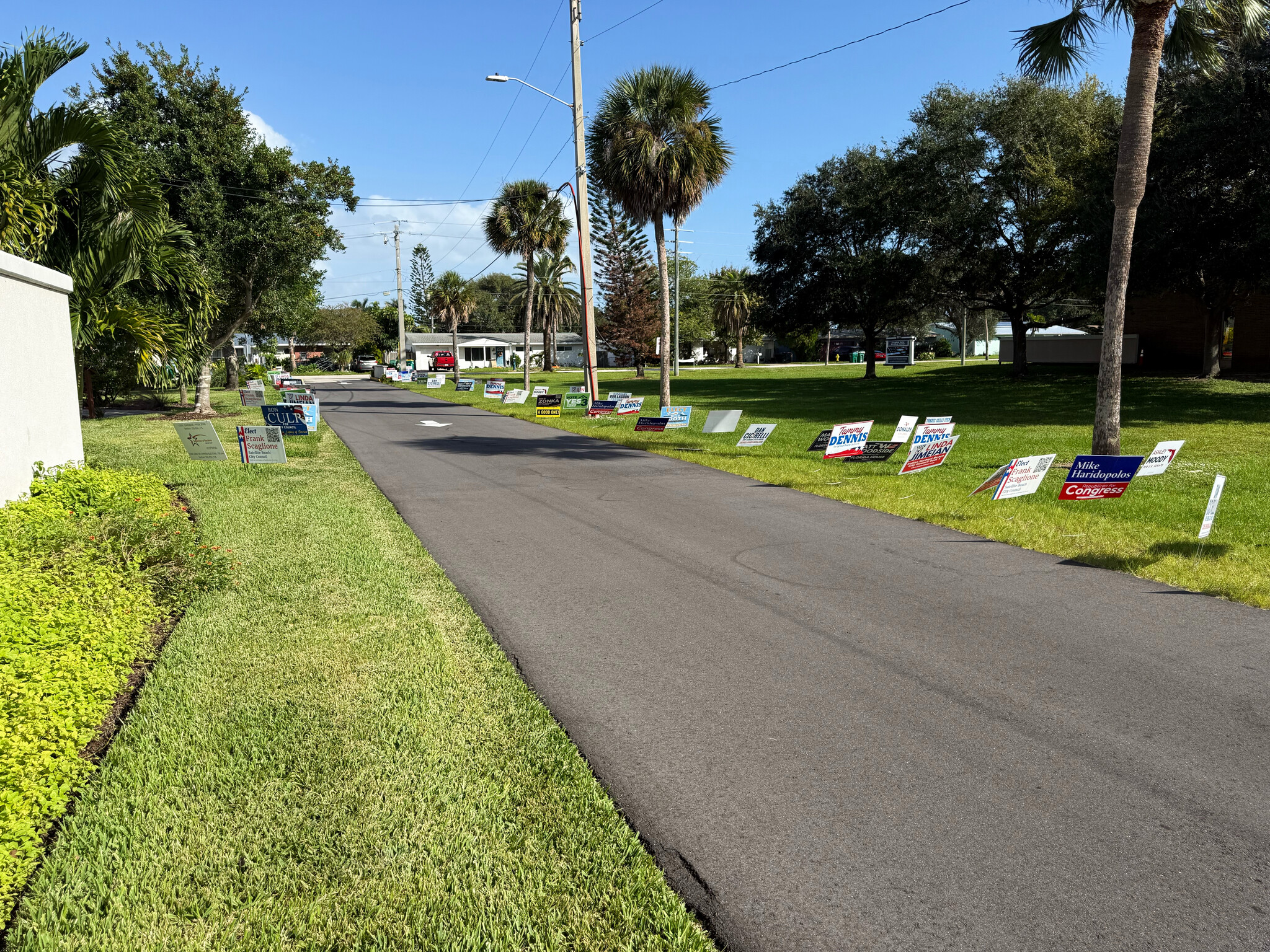 Rows of campaign yard signs for many candidates and ballot questions line both sides of a paved drive under palm trees