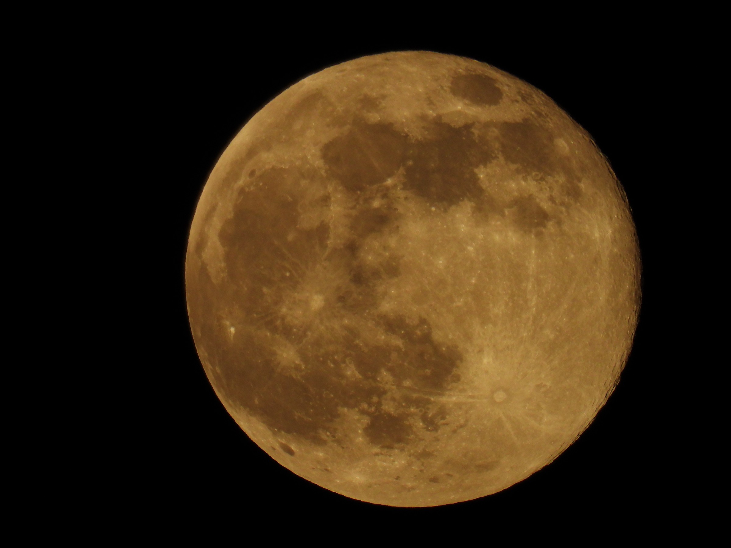 A nearly full moon glows deep amber against a black sky, its dark lunar seas and bright craters sharply visible