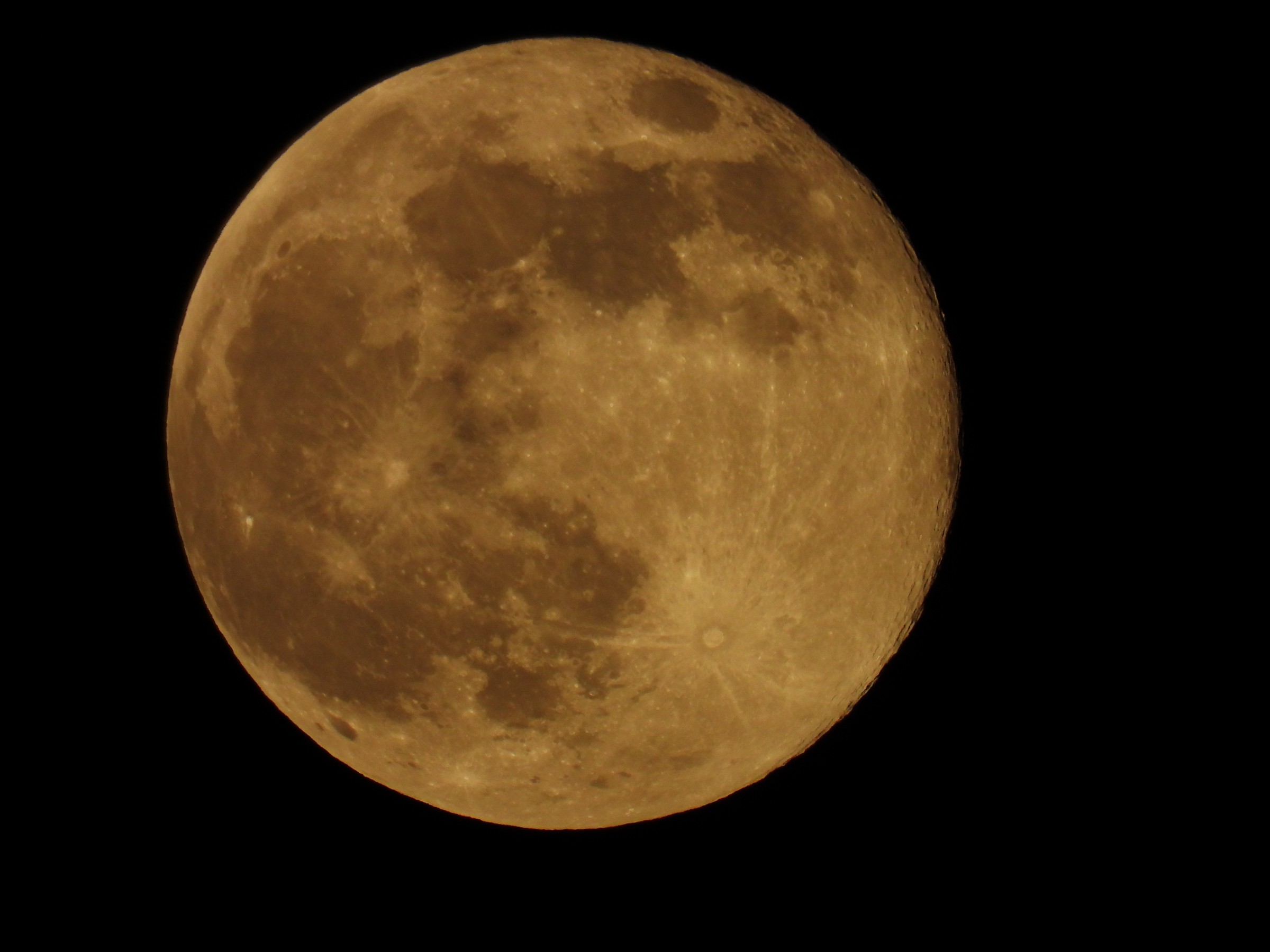 A close-up of an orange-gold moon on a black background showing gray lunar seas
