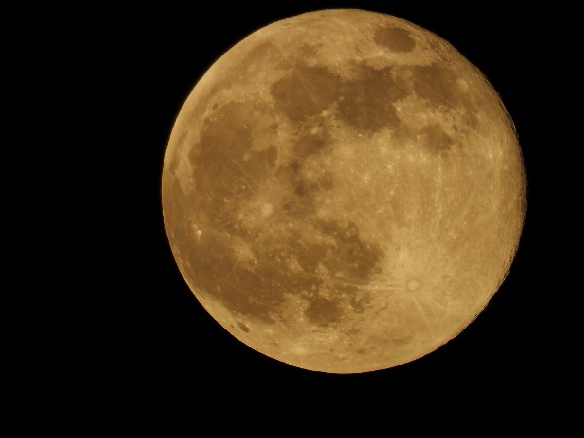 A large golden moon fills the frame against black sky with crater detail at its edges