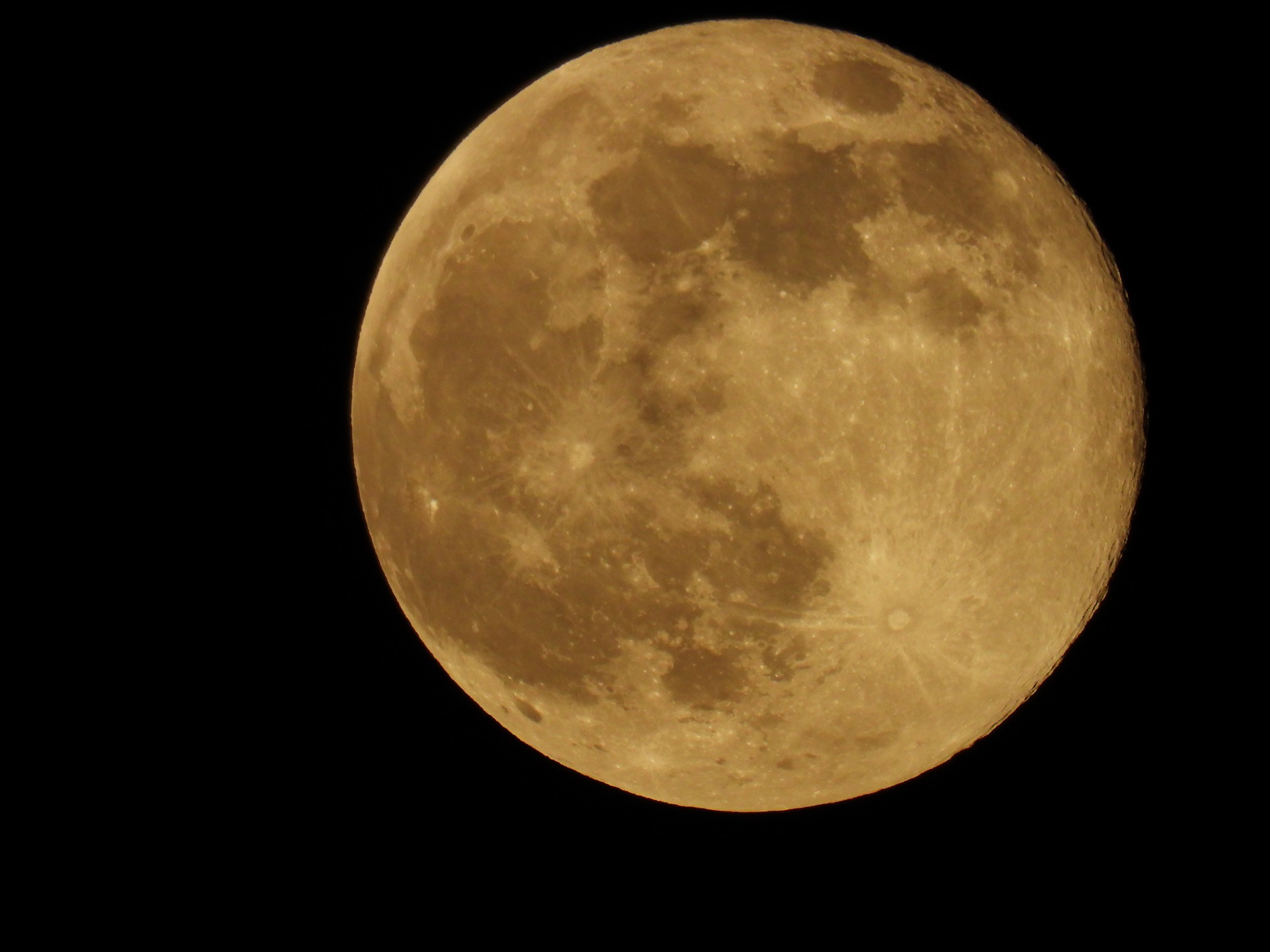 A large golden moon fills the frame against black sky with crater detail at its edges